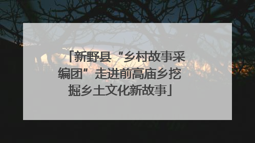 新野县“乡村故事采编团”走进前高庙乡挖掘乡土文化新故事
